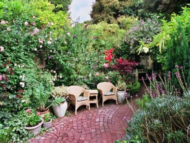 Union Street Inn, Cow Hollow